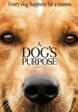 Can Dostum – A Dog’s Purpose tek part film izle 2017